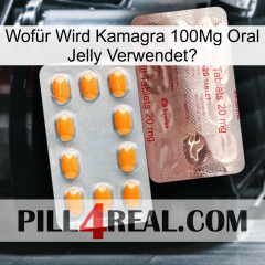 Wofür Wird Kamagra 100Mg Oral Jelly Verwendet1 new13